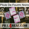 Black Ant Pill 33